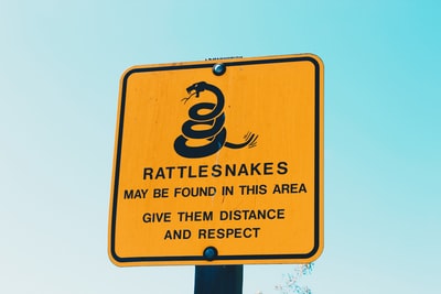 响尾蛇可能会发现在这方面给他们距离和尊重的标志
